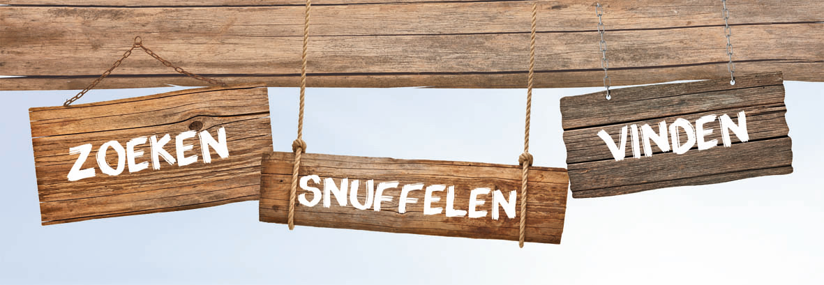Adverteren