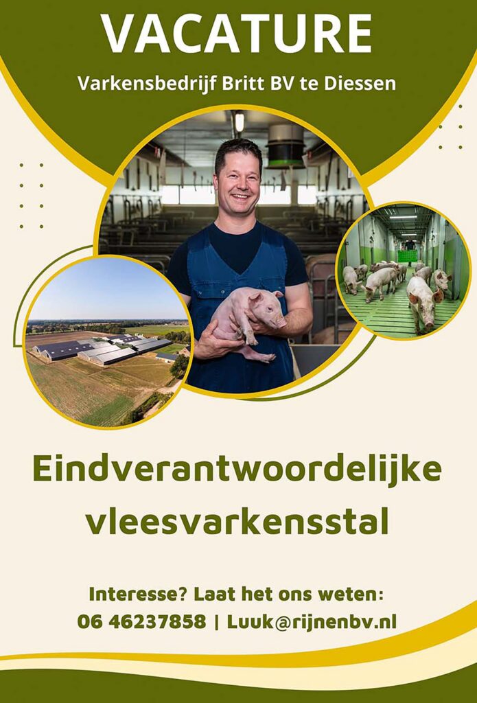 Robben groene Energie